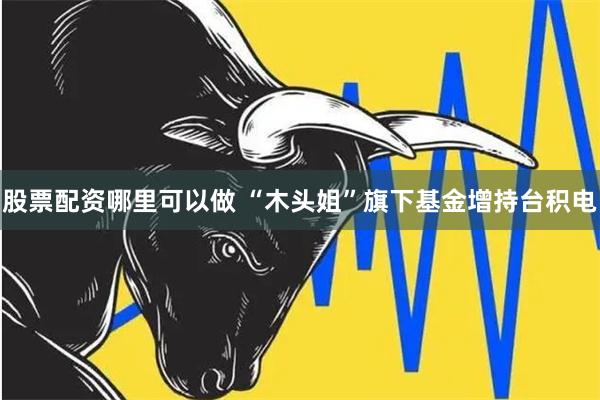 股票配资哪里可以做 “木头姐”旗下基金增持台积电