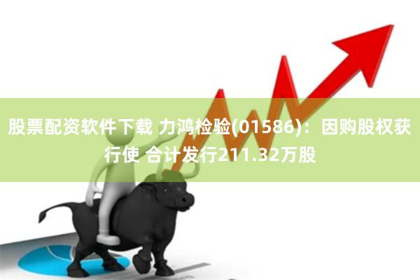 股票配资软件下载 力鸿检验(01586)：因购股权获行使 合计发行211.32万股