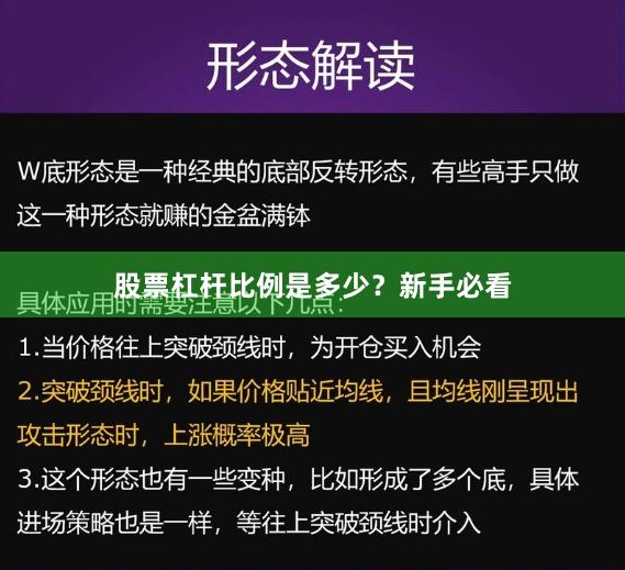 股票杠杆比例是多少？新手必看