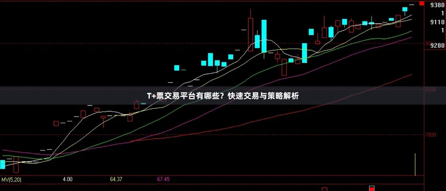 T+票交易平台有哪些？快速交易与策略解析