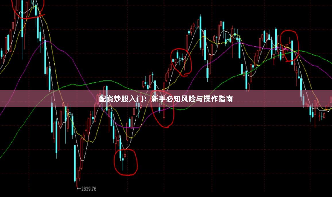 配资炒股入门：新手必知风险与操作指南