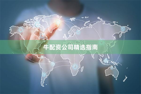 牛配资公司精选指南